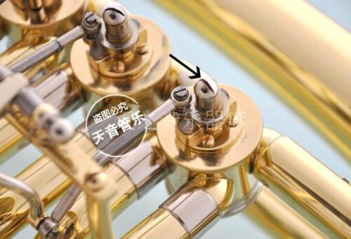 50 pcs New French Horn Euphoni - Musical Instrument Tuba ulasan dan harga