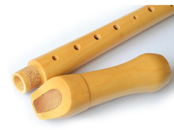 German-style Wooden Recorder 8 - Musical Instrument German ulasan dan harga