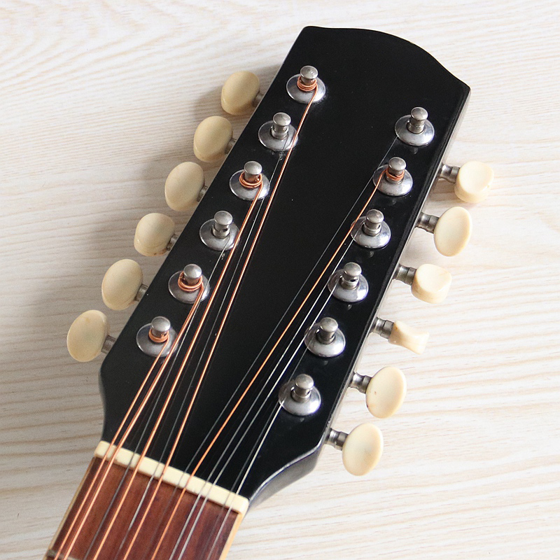 Stock 12 String Electric Acous - Dobro Resonator Guitar ulasan dan harga