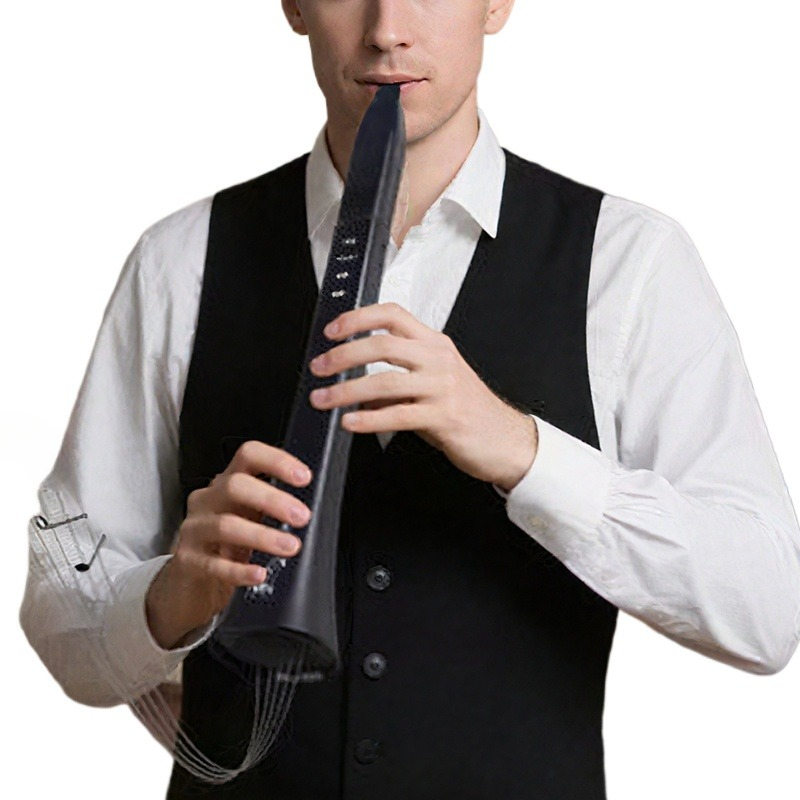 Portable Electronic Wind Instr - Musical Instrument ____ ulasan dan harga